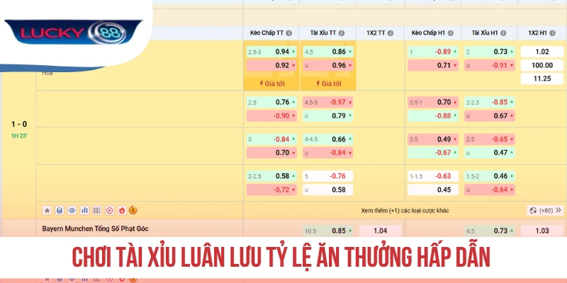 Chơi Tài Xỉu luân lưu tỷ lệ ăn thưởng hấp dẫn